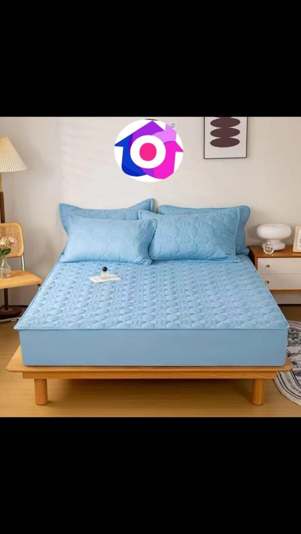 Bedsheet 12 (Waterproof)